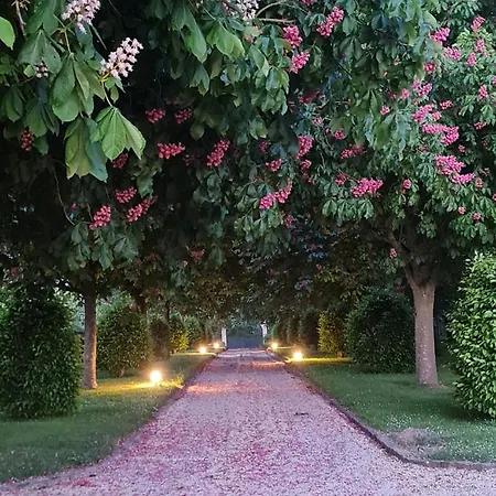 Appartement La Mucha - Manoir Des Marronniers Vi *